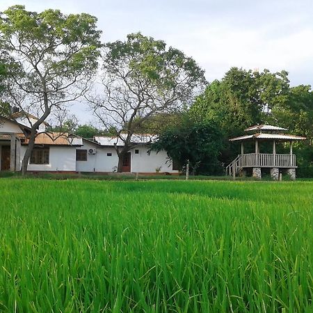 Willpattu Wild Watch Hotel Habawewa Ngoại thất bức ảnh