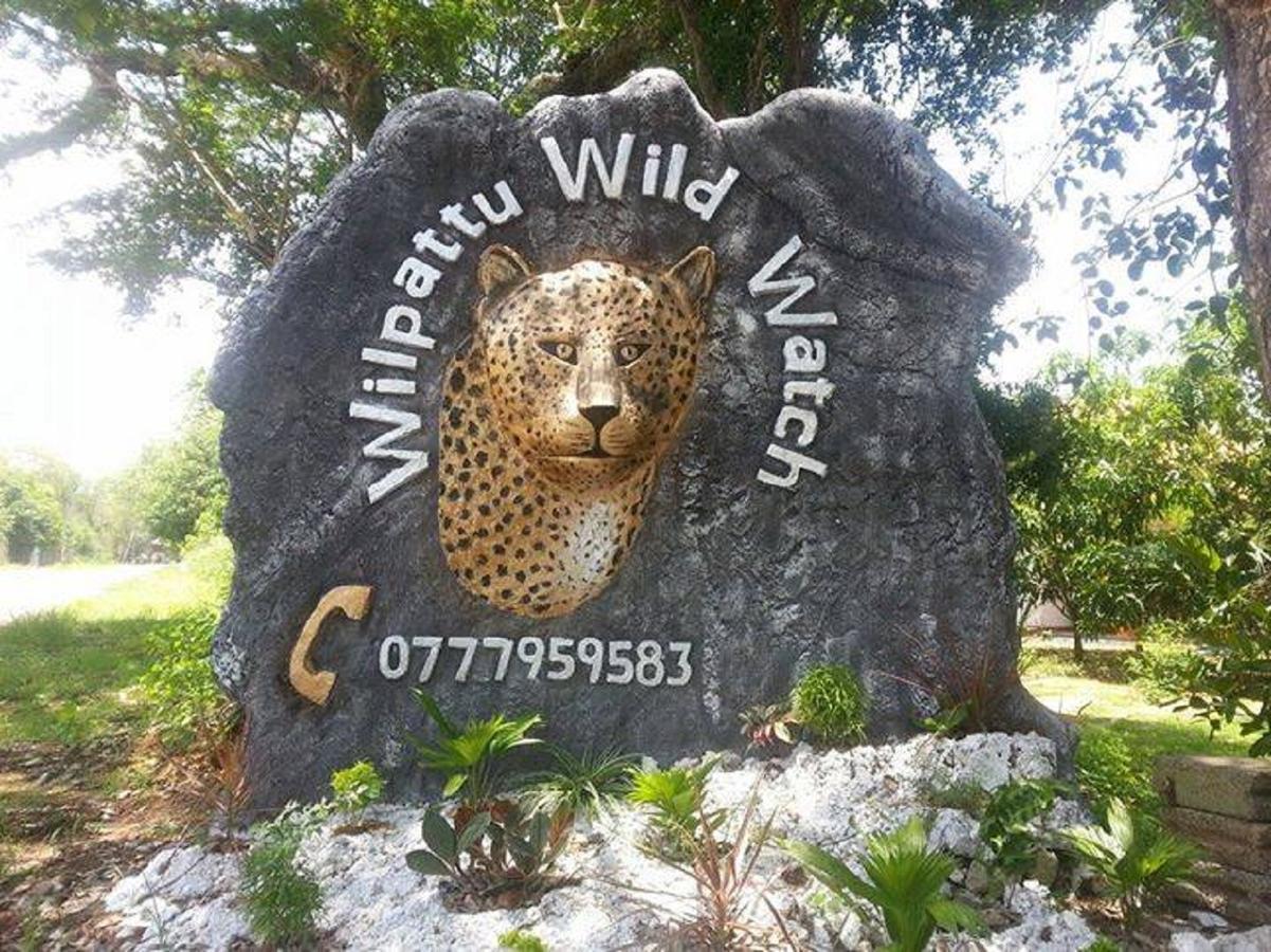Willpattu Wild Watch Hotel Habawewa Ngoại thất bức ảnh