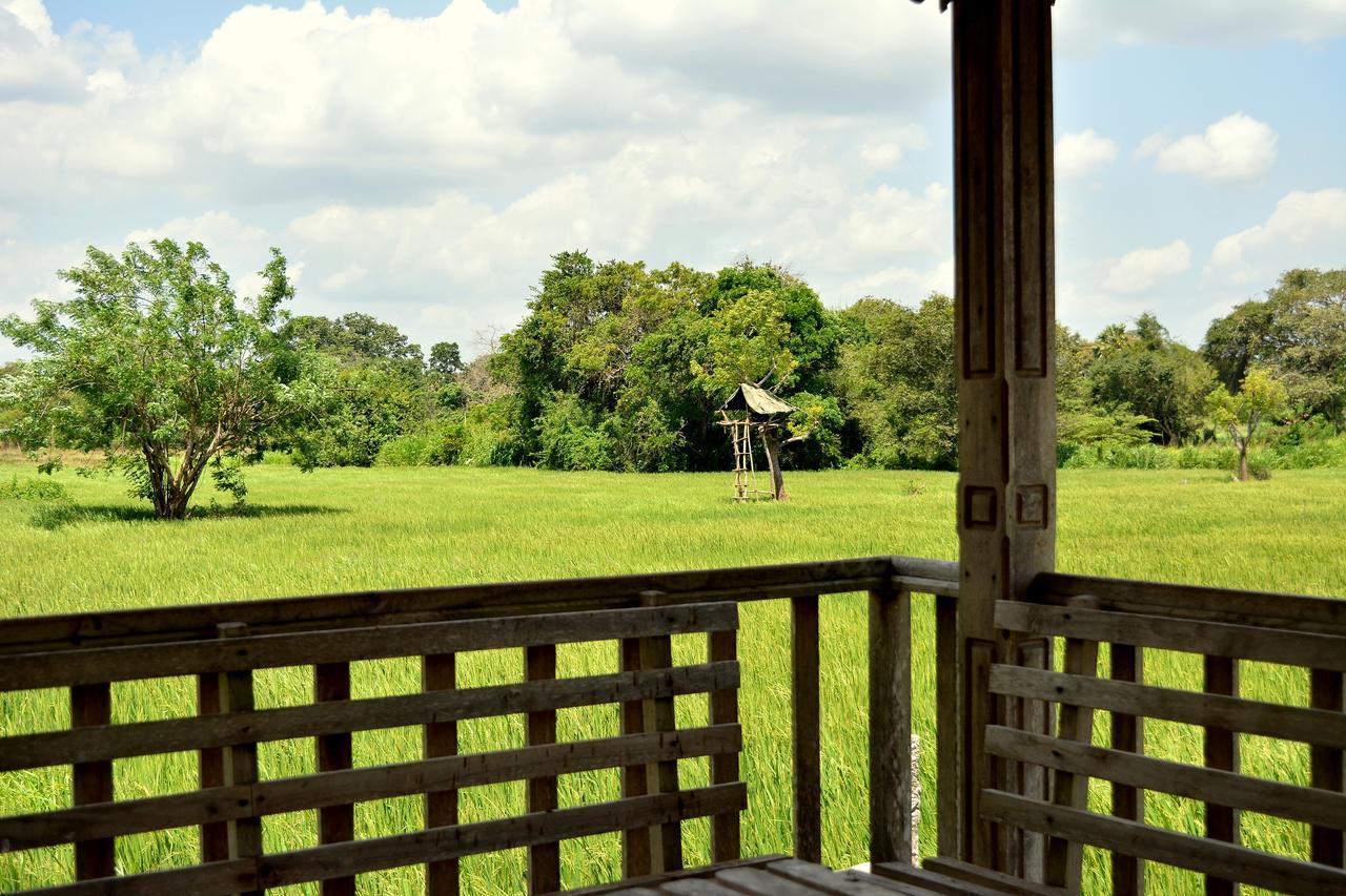 Willpattu Wild Watch Hotel Habawewa Ngoại thất bức ảnh