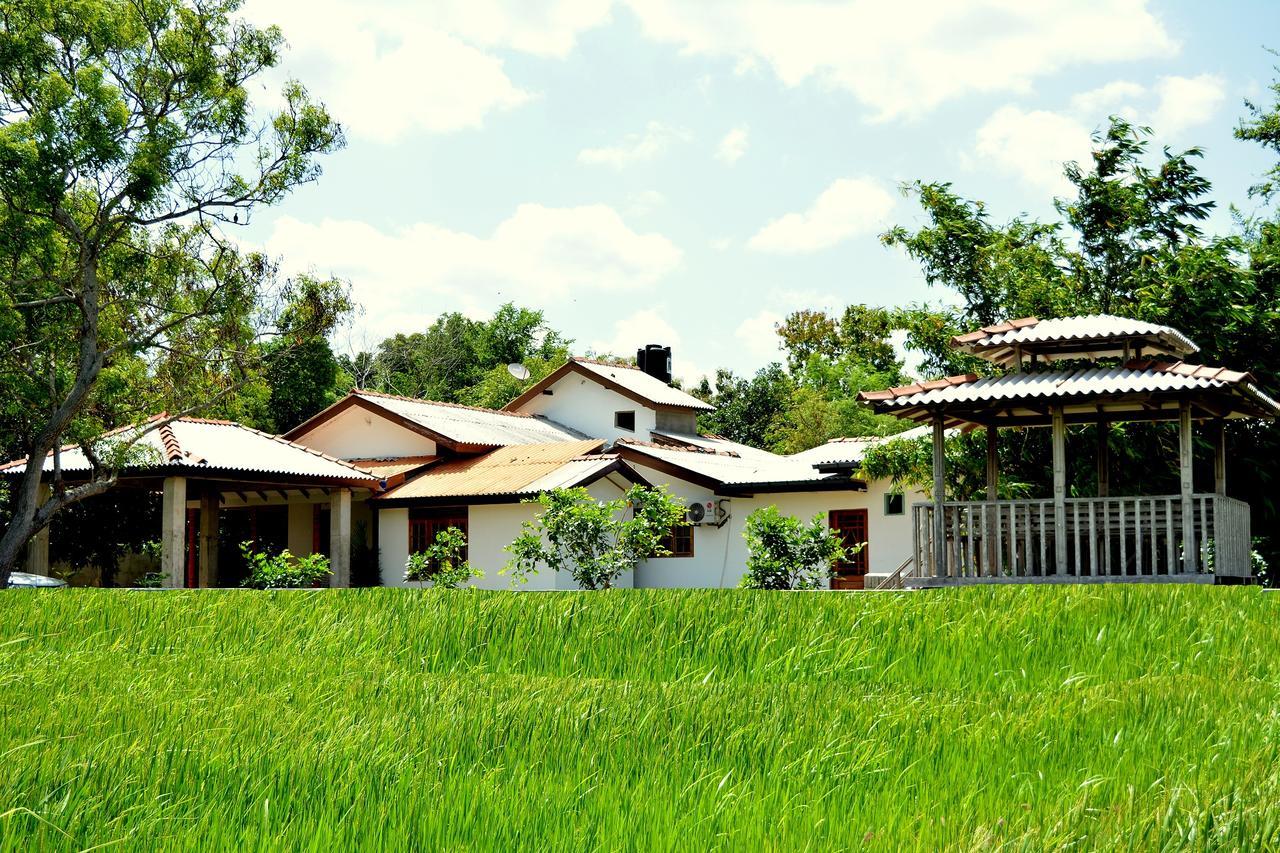 Willpattu Wild Watch Hotel Habawewa Ngoại thất bức ảnh